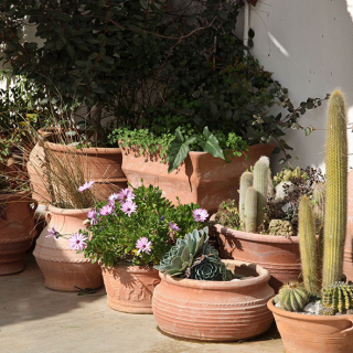 Græske Terracottakrukker - Black week