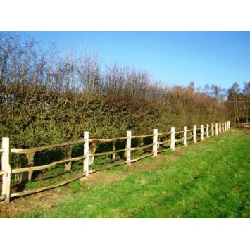 Split Rail
