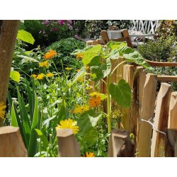 Kastanjehegn 5x1,0 meter (+/- 7 cm) 100% FSC