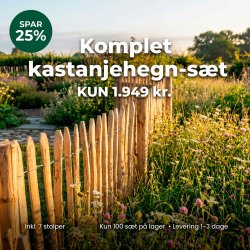 Kastanjehegn 10 meter x 0,90 m (+/- 7 cm staveafstand) inkl. 7 kraftige robiniestolper 160 cm �:8/10 stolper