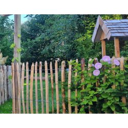 Kastanjehegn 5x1,50 meter (+/- 7 cm) 100% FSC