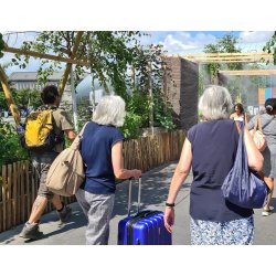 Kastanjehegn 5x0,90 meter (+/- 5 cm) 100% FSC