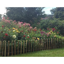 Kastanjehegn 1x0,75 meter (+/- 5 cm) 100% FSC