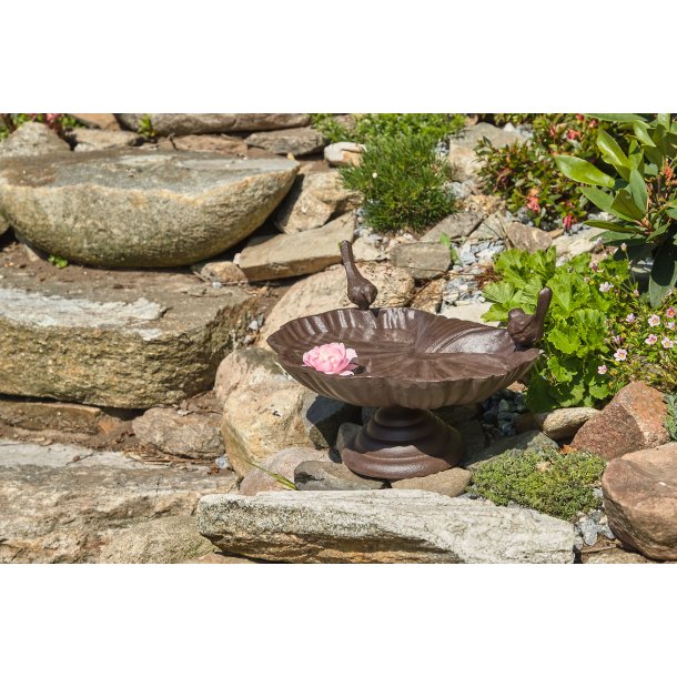 Fuglebad m. to fugle