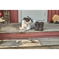 Bille - En hjlpende hnd