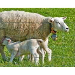 Trdhegn 140/11/15 50m. rl.