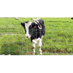 Trdhegn 140/11/15 50m. rl.