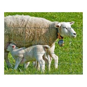 Trdhegn - HT11/140/15 100m rl.