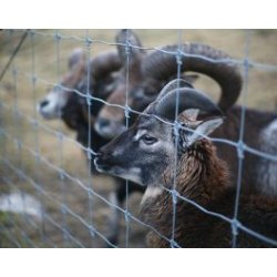 Tr�dhegn 1779/6/12,5 - 330' rol.