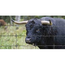 Tr�dhegn 1779/6/12,5 - 330' rol.