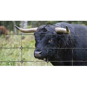 Trdhegn 1779/6/12,5 - 330' rol.